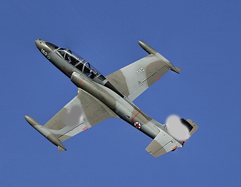 Be a fighter pilot for a day